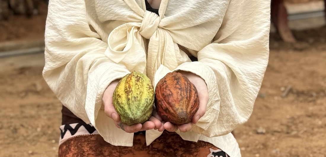 Raw Cacao from El Salvador Ceremonial Cacao wao its cacao