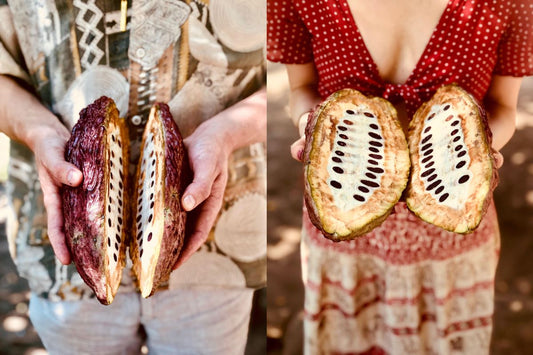 What is ceremonial cacao premium chocolate with tradition